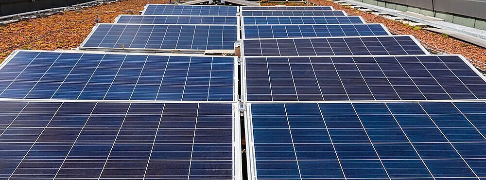 csm_Photovoltaik_PVAUSTRIA_PV1-381_ced0b01cfe-1.jpg